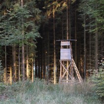 IMG_2428