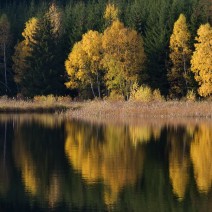 IMG_5593