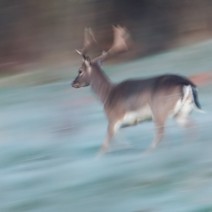 Kopie_von_IMG_1023
