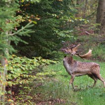 Kopie_von_IMG_2277-2