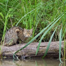 Kopie_von_IMG_2468