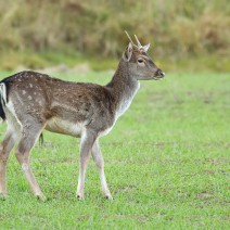 Kopie_von_IMG_3143