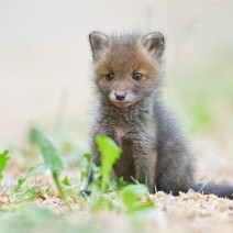 Kopie_von_IMG_8434-2